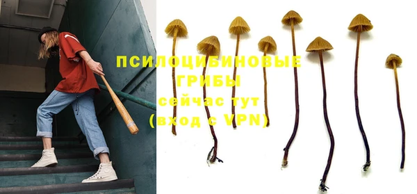 шишки Алзамай