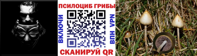 мега вход  Обнинск  Галлюциногенные грибы MAGIC MUSHROOMS 